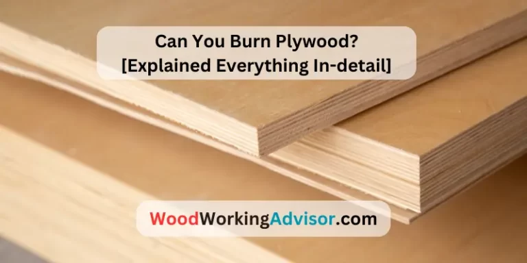 Can You Burn Plywood?