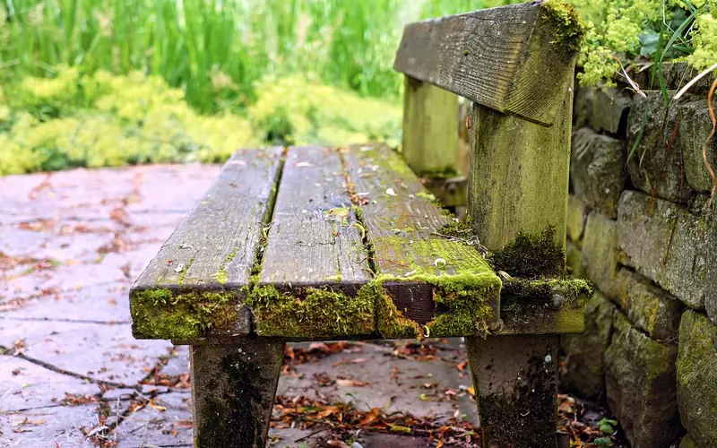weathered wooden bench covered in moss and gray patina from years without resealing