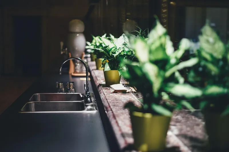 Kitchen countertop with a double sink and faucet along a window