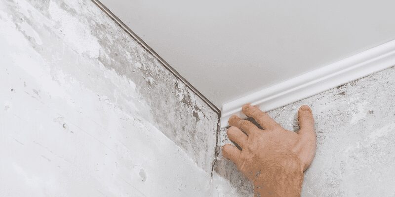 Crown molding corner cut and fitted