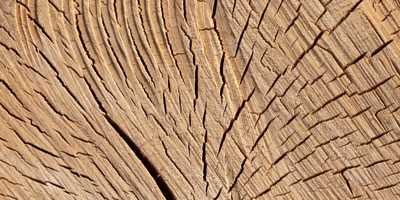 how to dry wood slabs without cracking