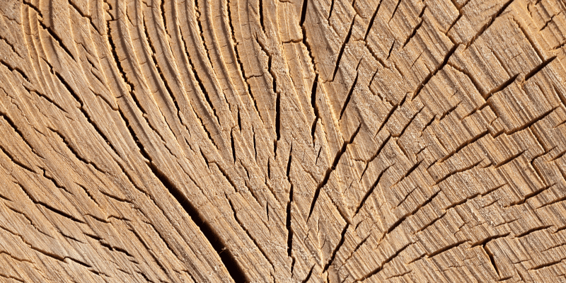 how to dry wood slabs without cracking