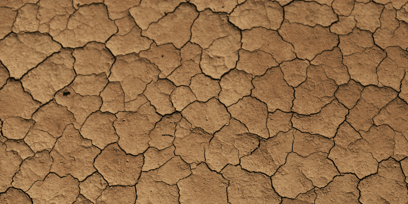 how to dry wood slabs without cracking