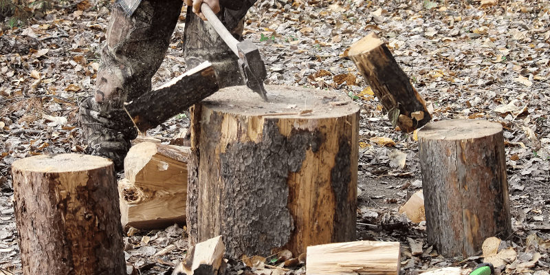 how to keep wood slices from splitting