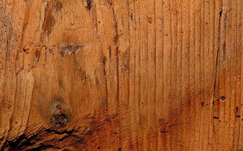 close-up of natural wood grain texture used as the surface for Lichtenberg burning patterns