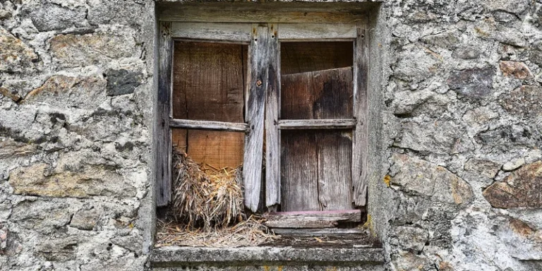 Rotted wood window frame in need of wood hardener treatment