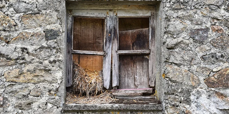 Rotted wood window frame in need of wood hardener treatment