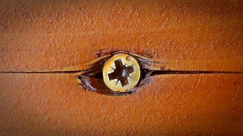 Brass screw head in wood with a crack running along the grain beside it Brass screw head in wood with a crack running along the grain beside it