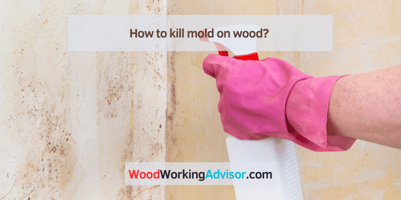 How to kill mold on wood?