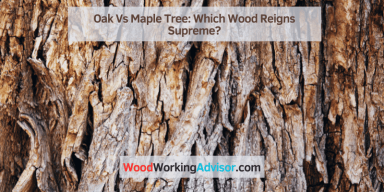 Oak Vs Maple Tree