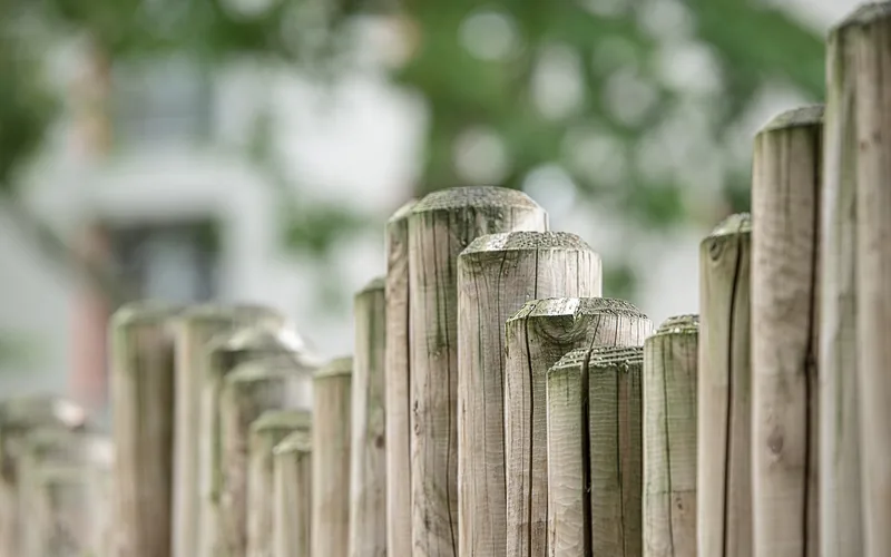 rounded wood picket fence posts in a backyard setting