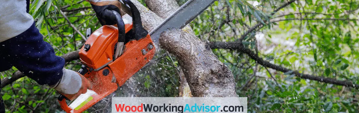 Chainsaw cutting a tree branch, comparing 16 vs 18 inch chainsaw bar length