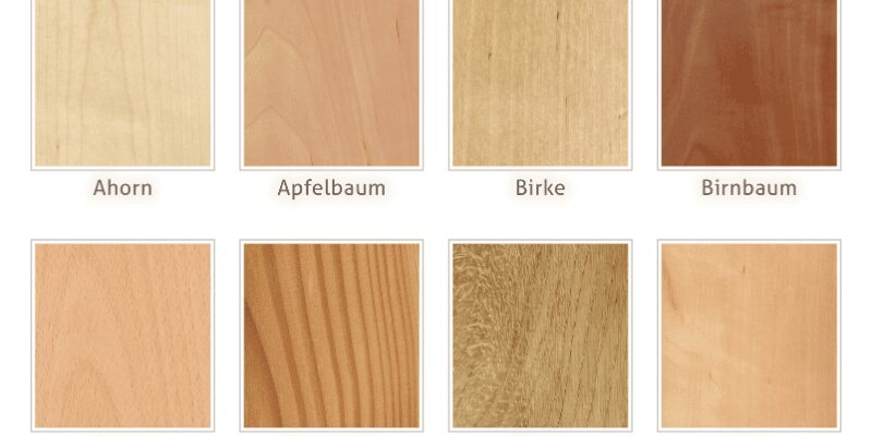 Beech Vs Birch