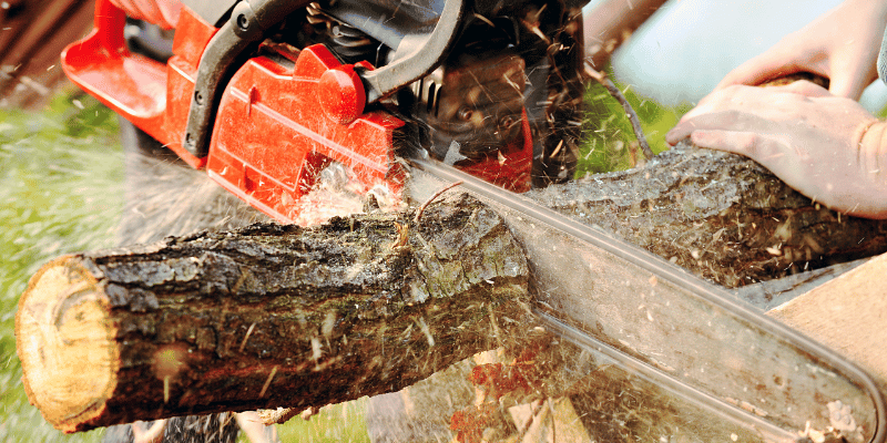 Echo Vs Husqvarna Chainsaw