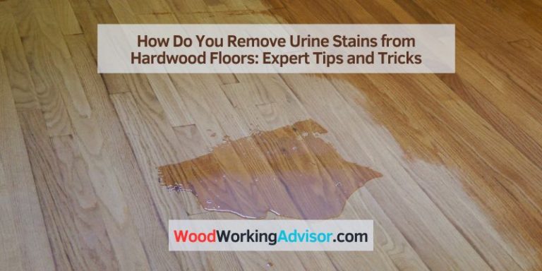 How Do You Remove Urine Stains from Hardwood Floors