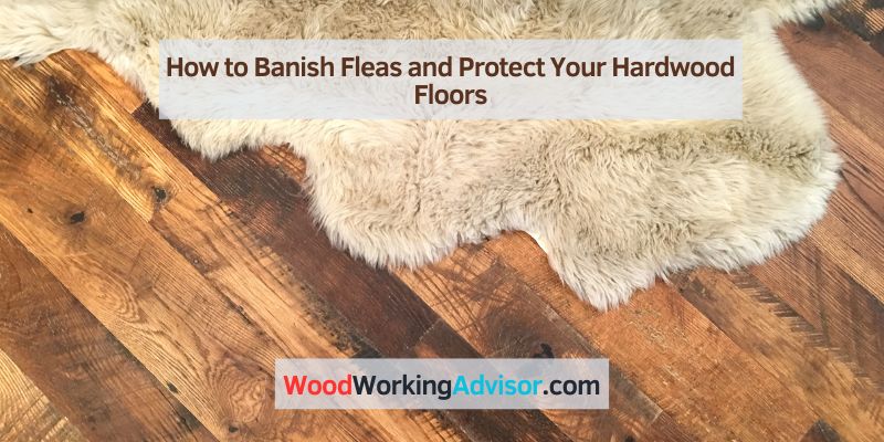 How to Banish Fleas and Protect Your Hardwood Floors