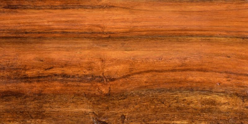 How to Eliminate Dog Pee Stains on Hardwood Floors