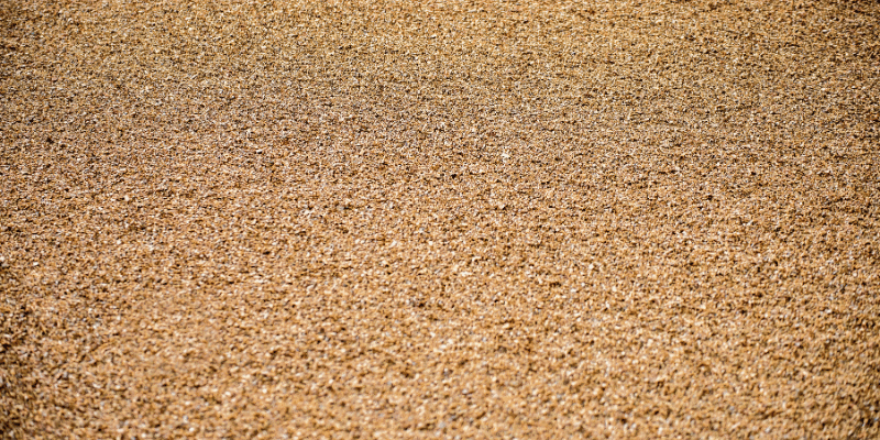 Is Sawdust Bad for You?