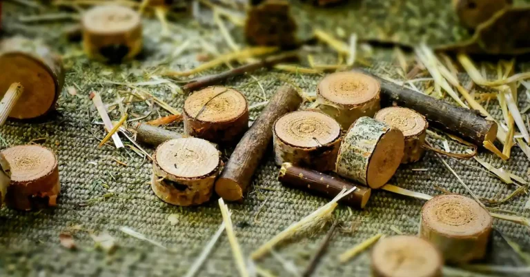 Birch wood slices with natural bark preserved and intact for craft projects