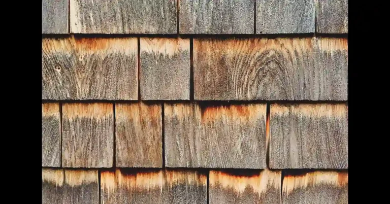 Weathered cedar wood shingles showing natural rot-resistant grain, contrasted with fresh Douglas fir lumber