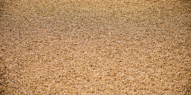 Close-up of fine sawdust particles from woodworking