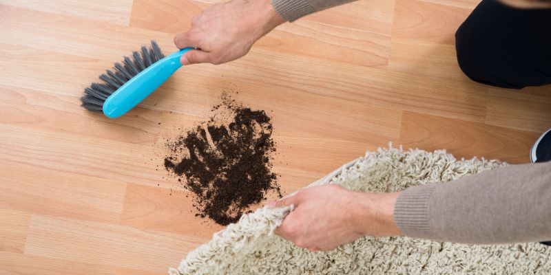 Carpet Shampooers Bissell