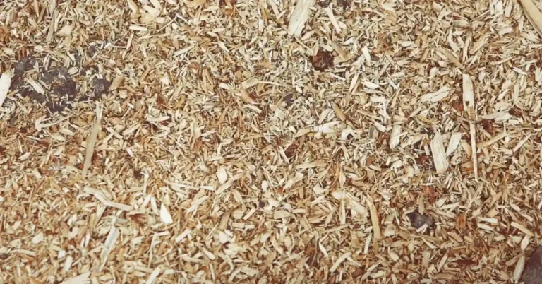 Particle Board vs MDF vs Plywood: Cost & Strength Compared