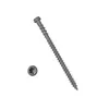 YYL coated composite deck screws with Torx star drive bit