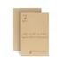 Baltic birch plywood 24x36x1/4 inch project panel 2-pack