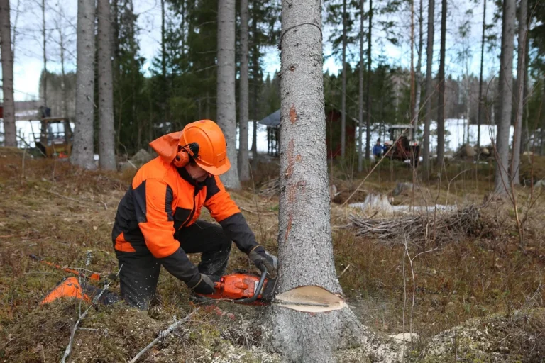 Echo Vs Stihl Vs Husqvarna Chainsaw: The Ultimate Comparison