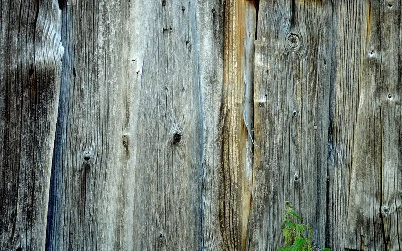Weathered wood boards showing knots that can bleed through paint