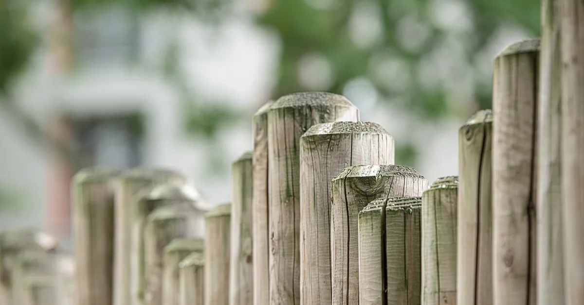 Row of weathered wooden fence posts with rounded tops