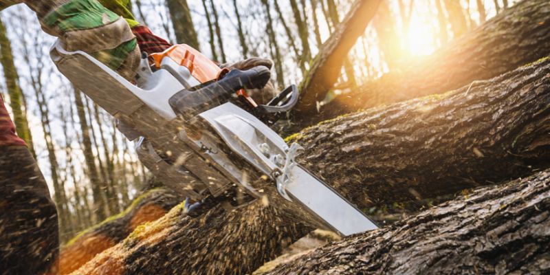 Are Craftsman Chainsaws Any Good? Discover the Power and Performance