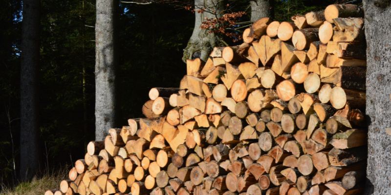 Bradford Pear Firewood