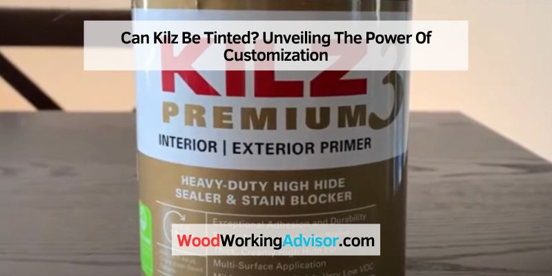 Can Kilz Be Tinted
