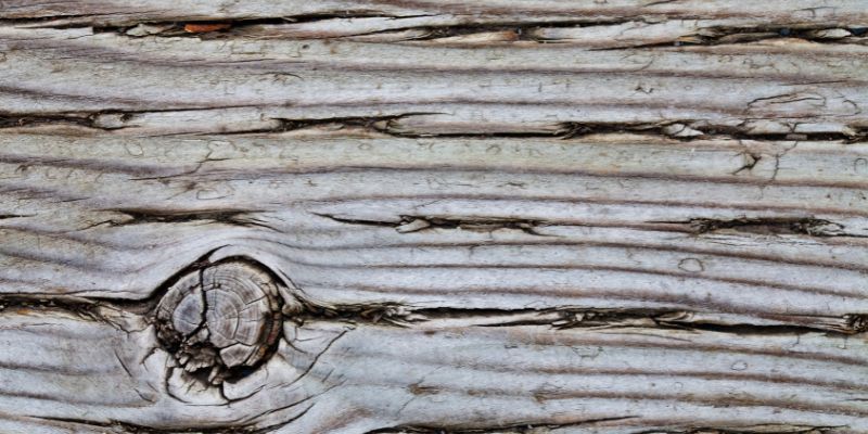 Can You Sand Pressure Treated Wood