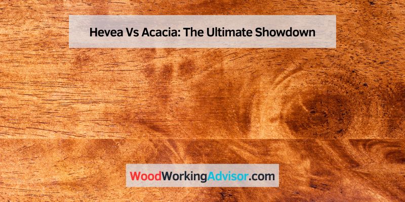 Hevea Vs Acacia
