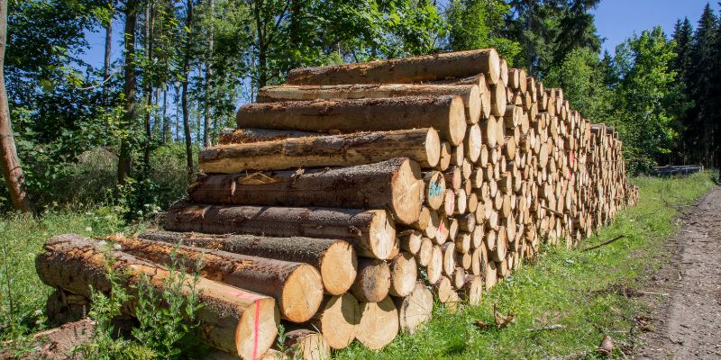 How Long for Wood to Dry