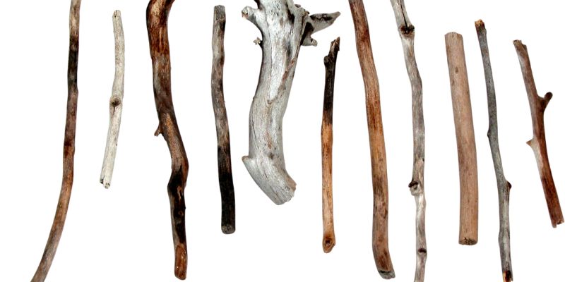 How to Create Your Own Walking Stick from a Tree Branch