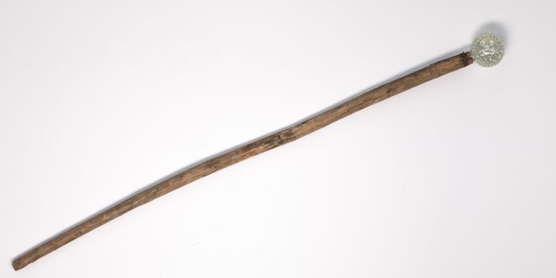 How to Create Your Own Walking Stick from a Tree Branch