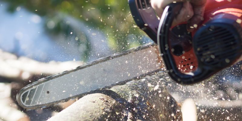 How to Measure Chainsaw Bar