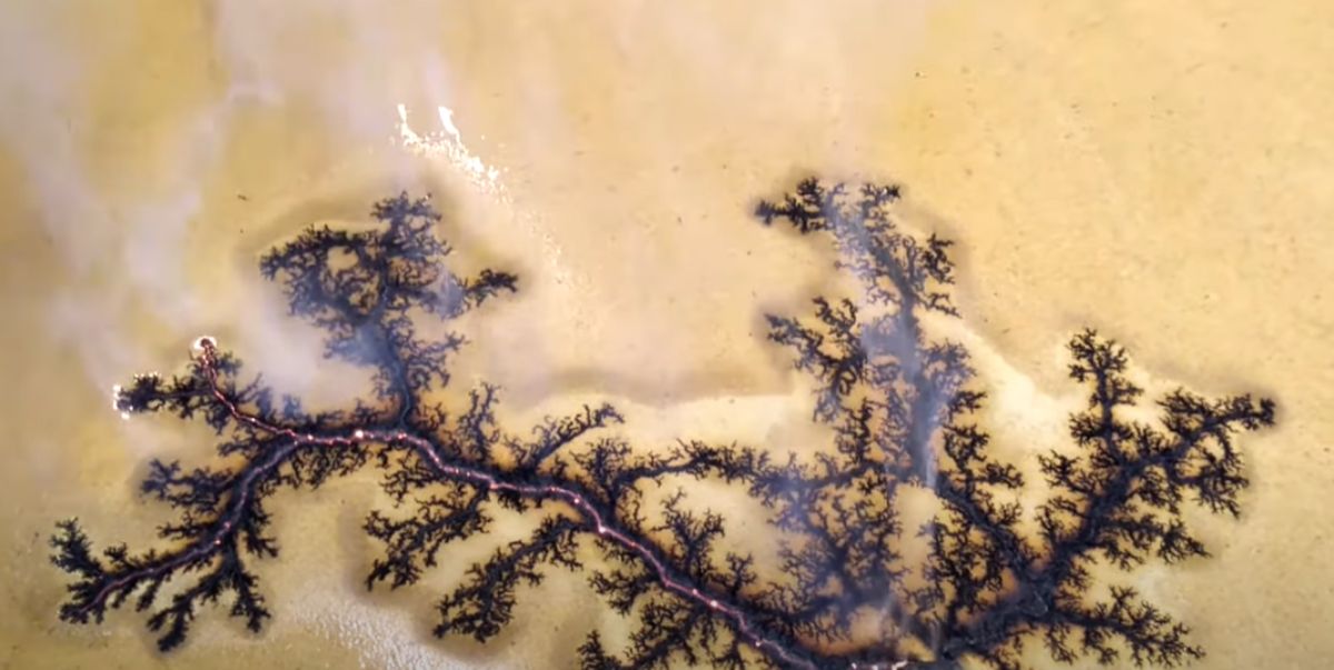 How to make Lichtenberg Figures Wood