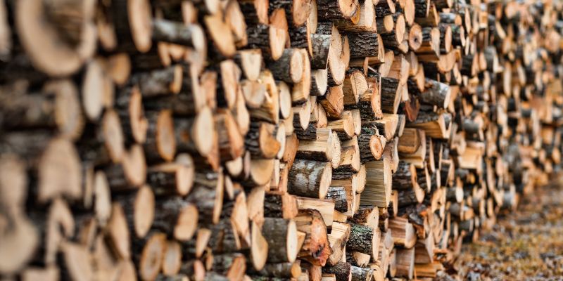 Is Black Walnut Good Firewood