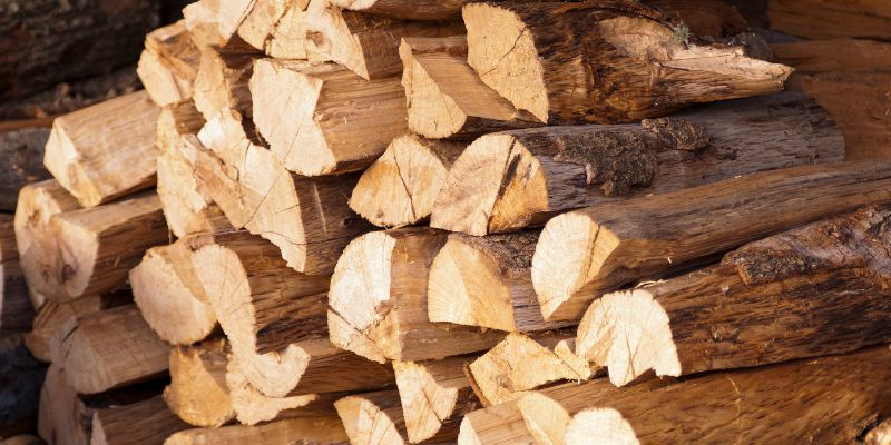 Is Black Walnut Good Firewood