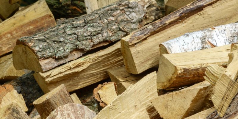 Is White Birch Good Firewood
