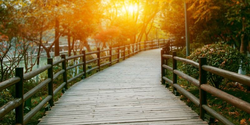 Should You Seal Both Sides of Wood