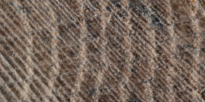 What is Quarter Sawn Oak