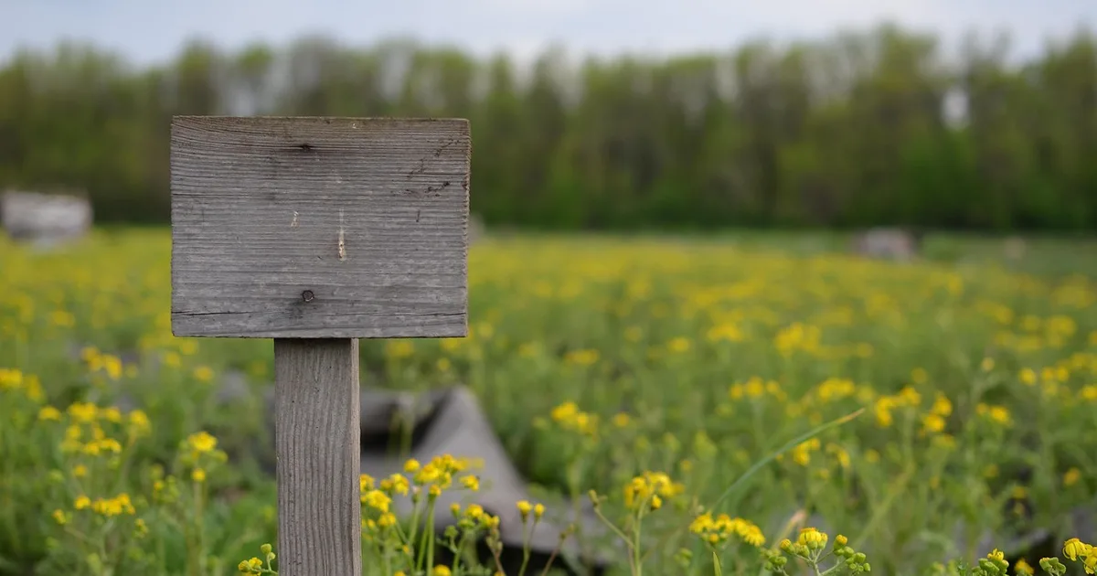 Blank weathered wooden sign standing upright on a post in a flowering field