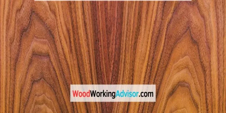 Walnut wood grain close-up