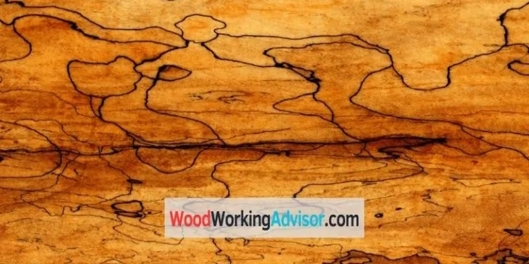 Spalted wood grain pattern close-up